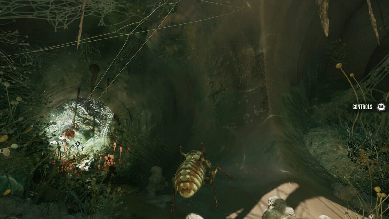 Mold thumbnail 4