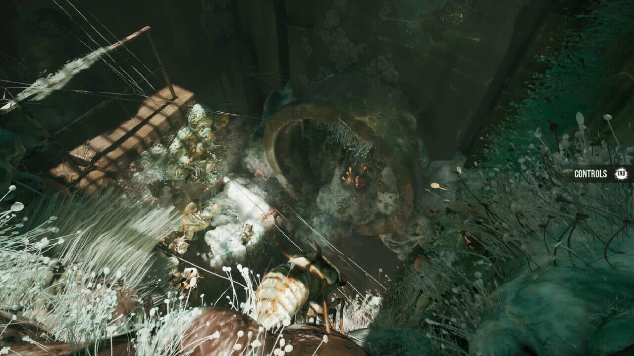 Mold thumbnail 5