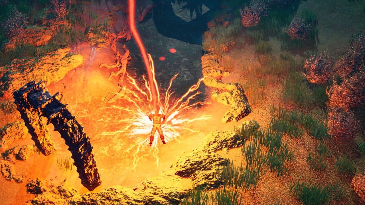 Fox XII thumbnail 3