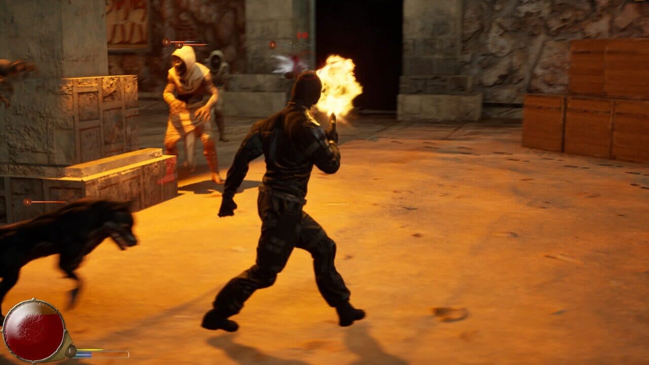 Fox XII thumbnail 9