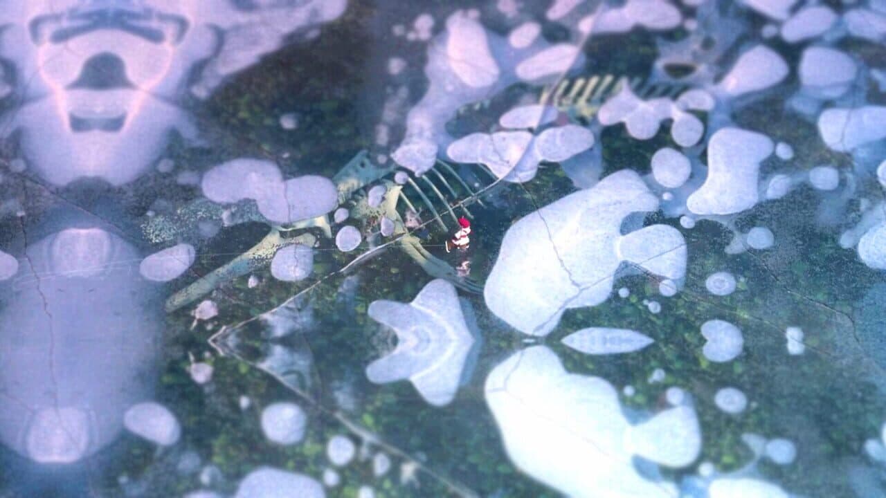 North Shore thumbnail 3