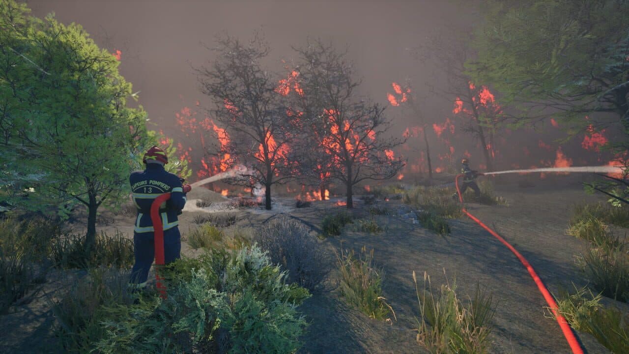 Rescue Ops: Wildfire thumbnail 5