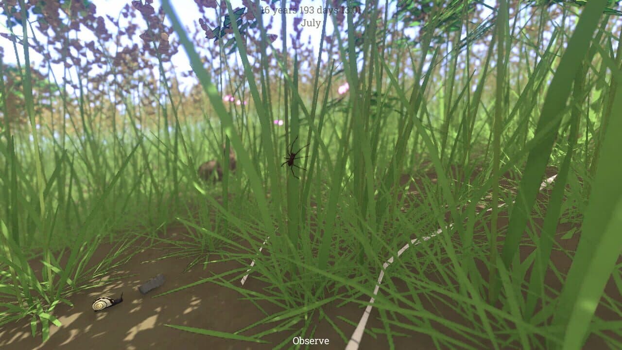 Grow Wild thumbnail 5