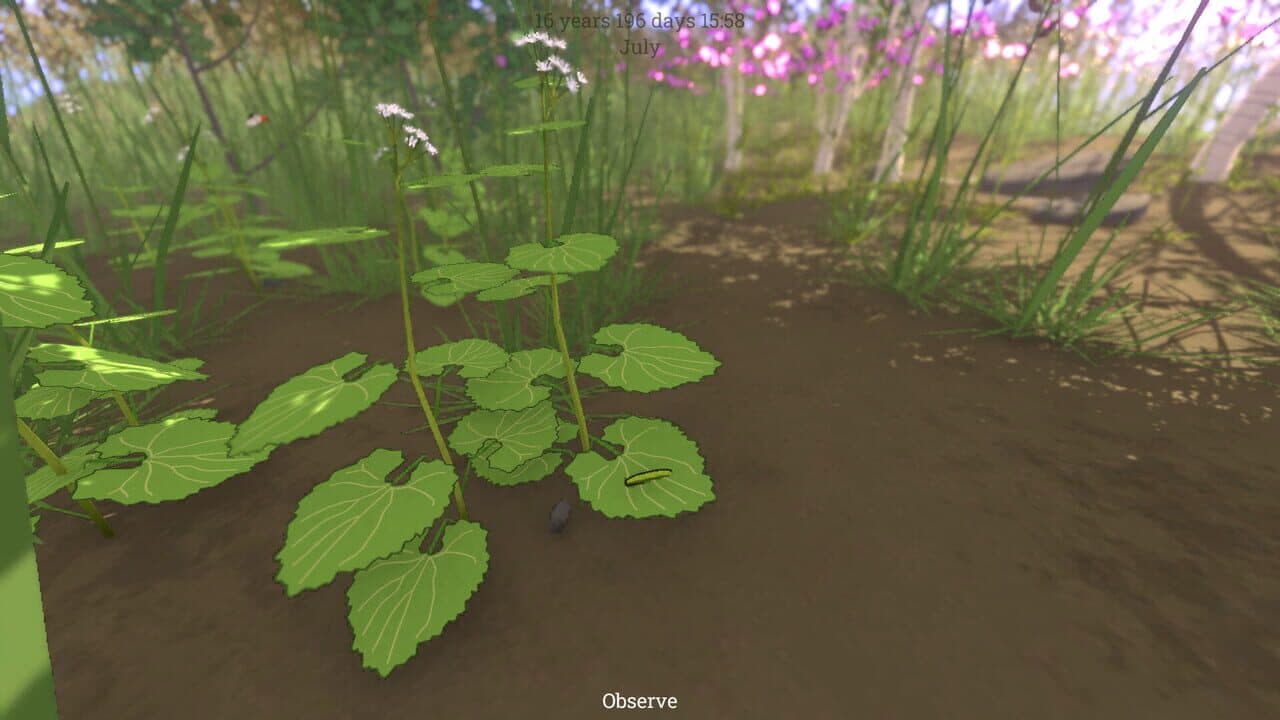 Grow Wild thumbnail 11