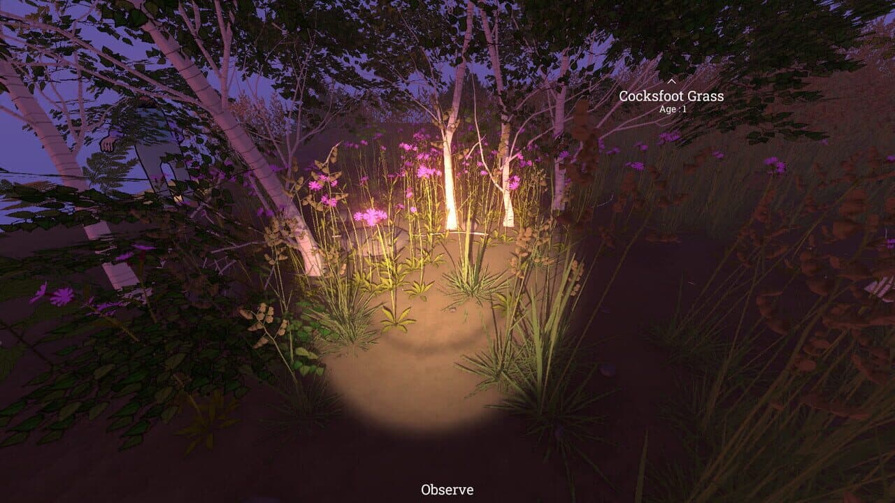 Grow Wild thumbnail 14