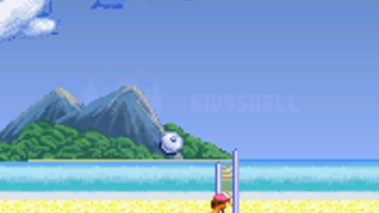 Leisure Suit Larry: Bikini Beach Volleyball thumbnail 3
