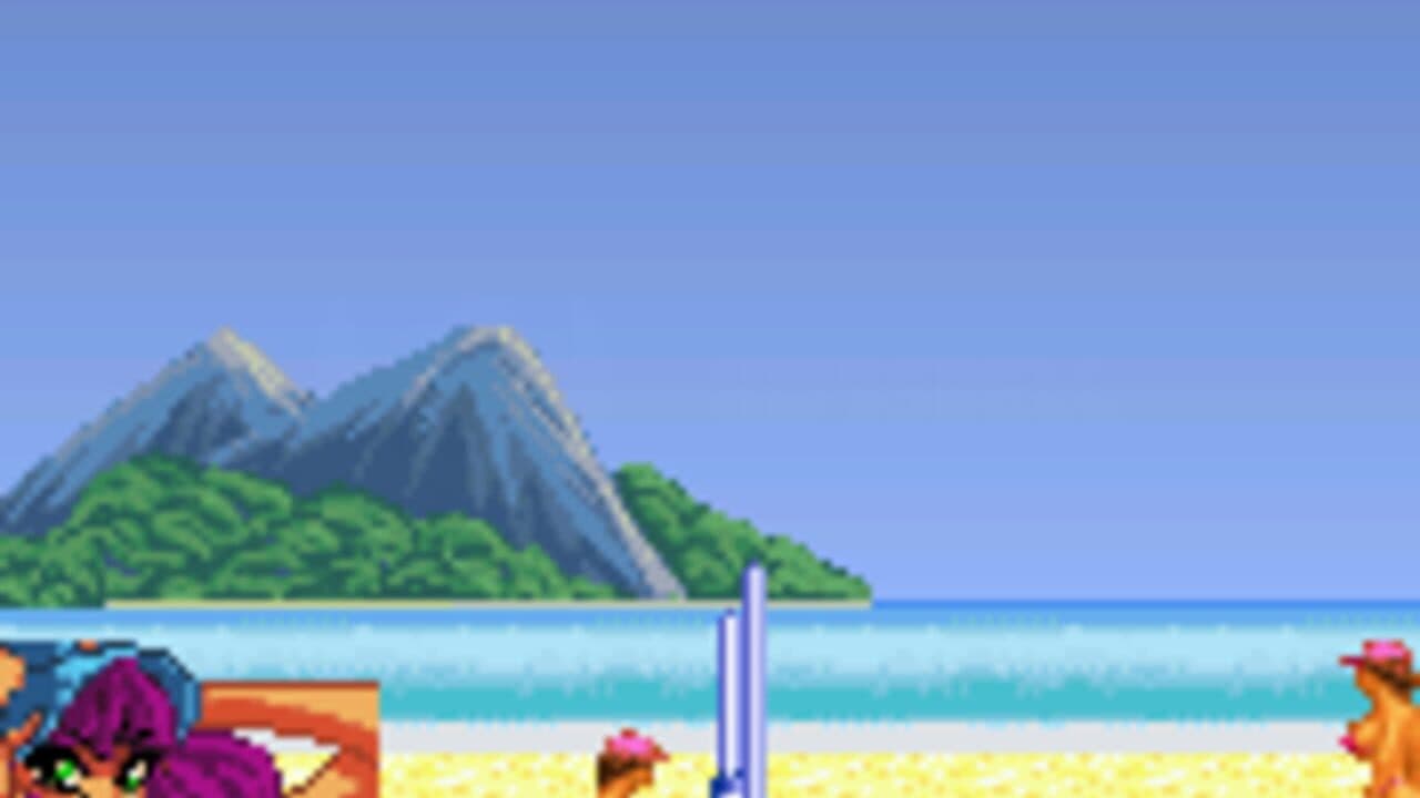 Leisure Suit Larry: Bikini Beach Volleyball thumbnail 4