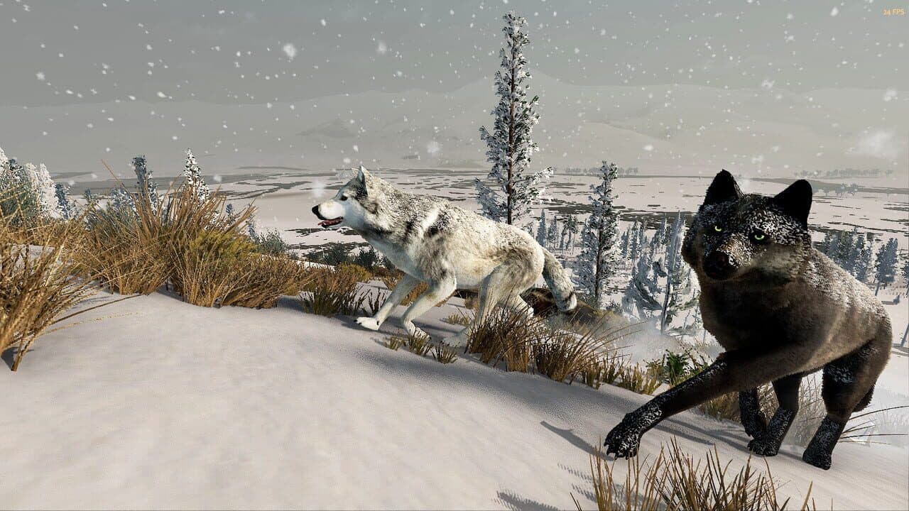 WolfQuest: Anniversary Edition thumbnail 8