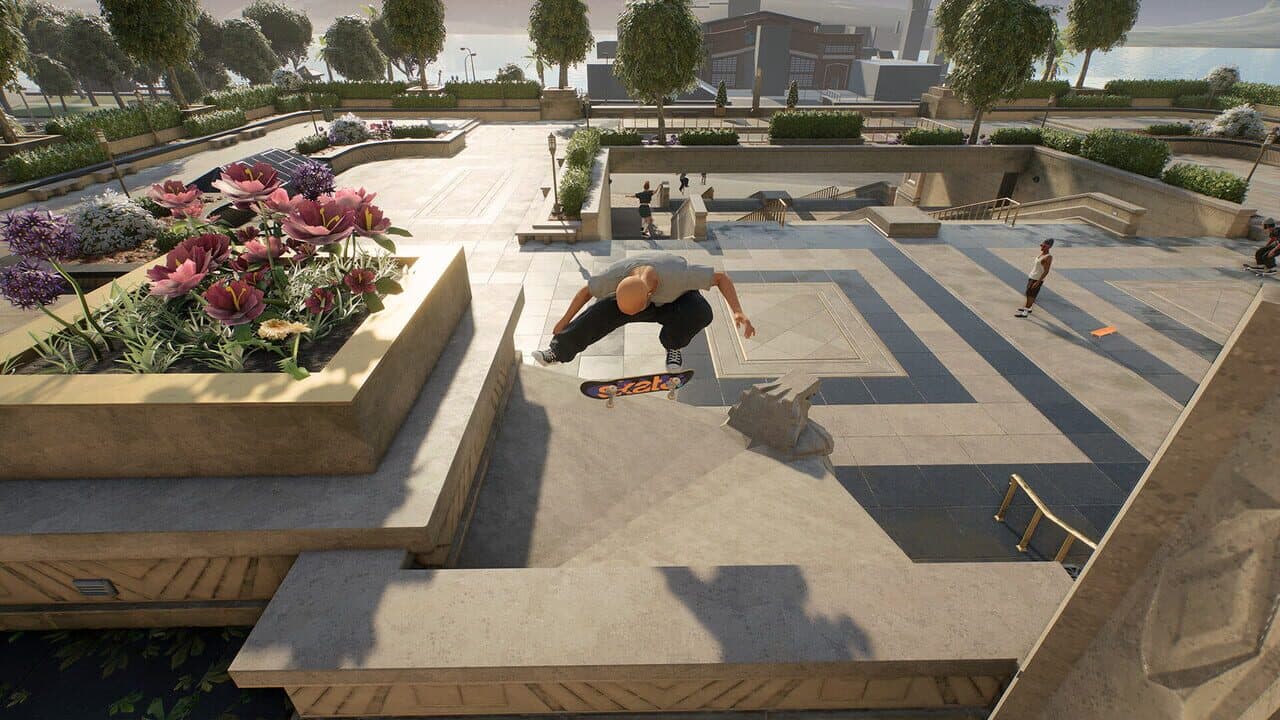 Skate. thumbnail 3