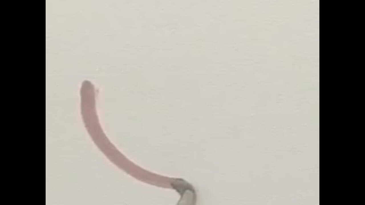 Floral Gutter screenshot 1