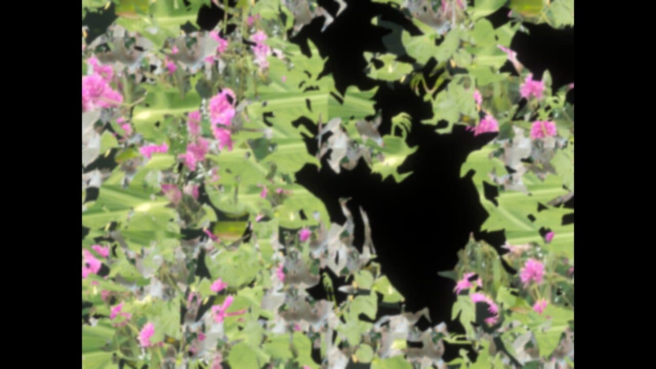Floral Gutter thumbnail 2
