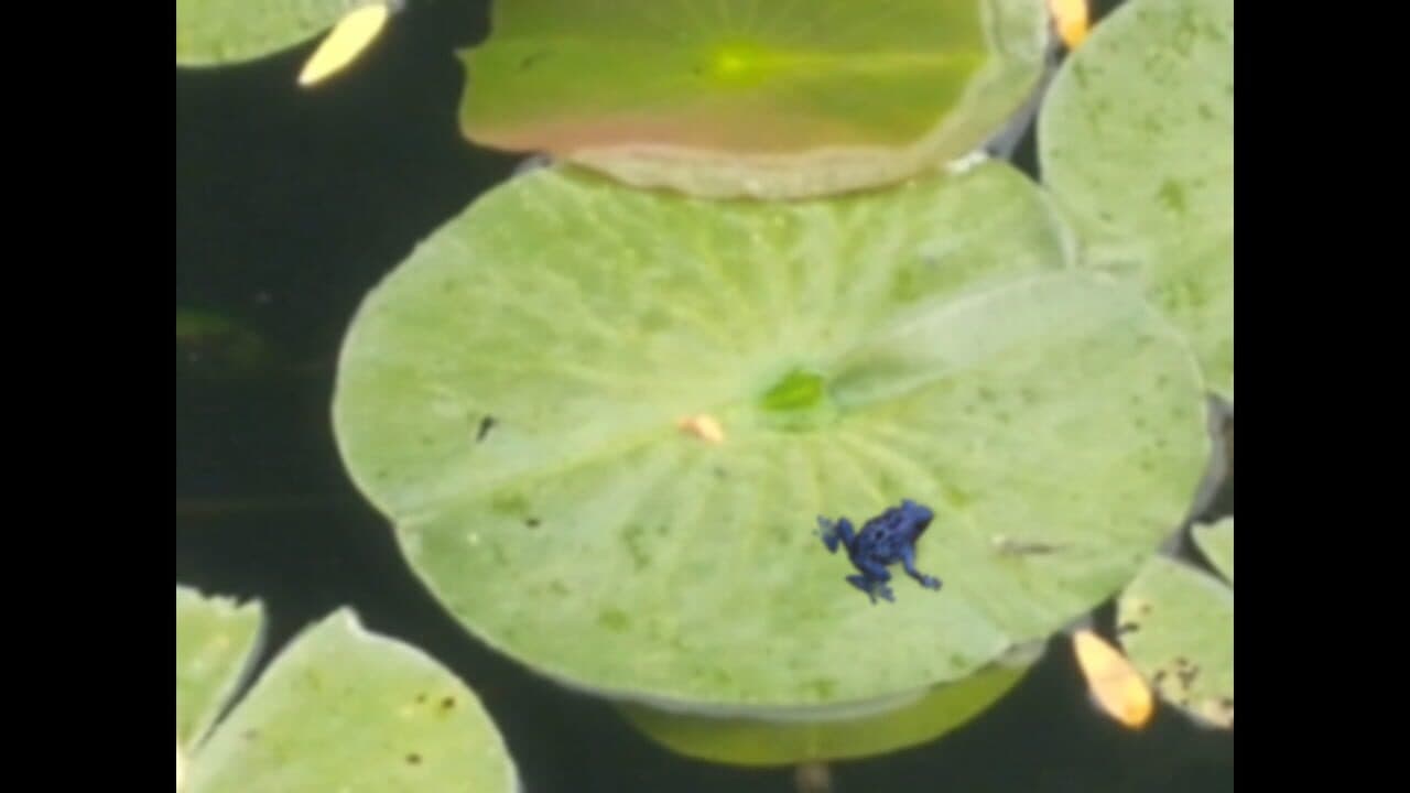 Floral Gutter thumbnail 3