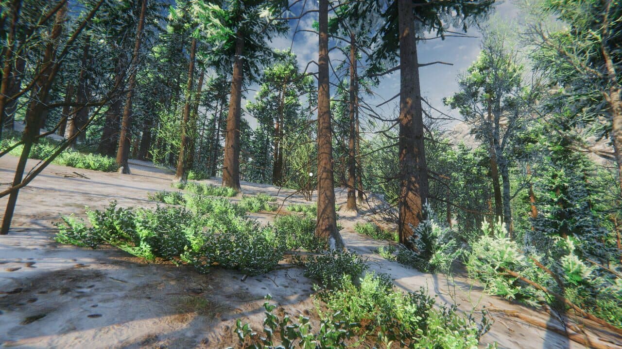 Simulyator Odinochestva V Russkoy Derevne thumbnail 7