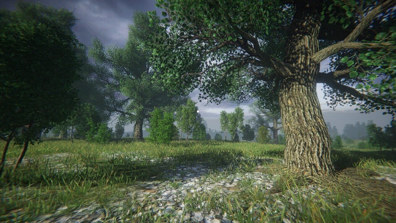 Simulyator Odinochestva V Russkoy Derevne thumbnail 22