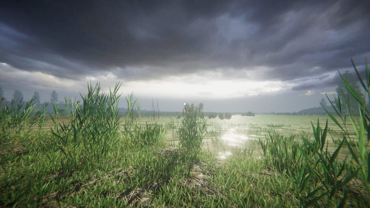 Simulyator Odinochestva V Russkoy Derevne thumbnail 23