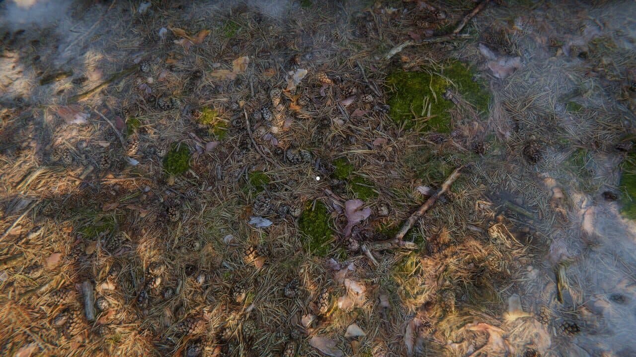 Simulyator Odinochestva V Russkoy Derevne thumbnail 28