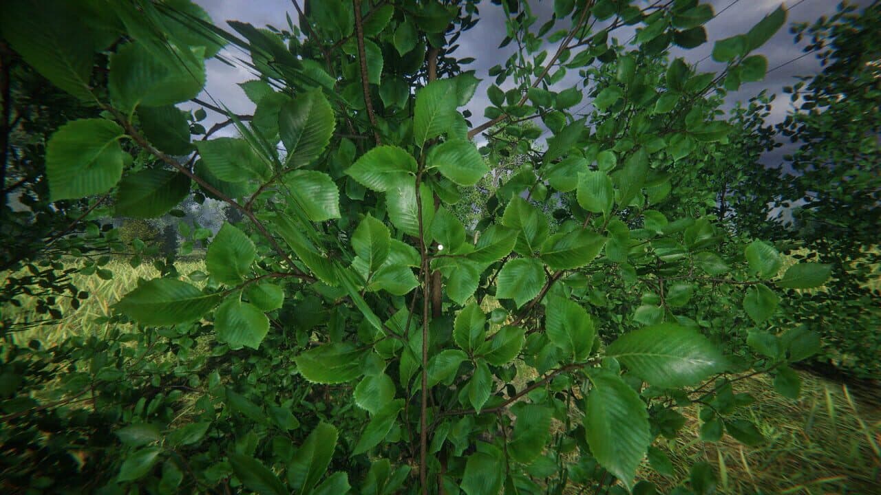 Simulyator Odinochestva V Russkoy Derevne thumbnail 29