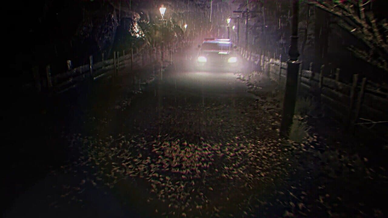 Vesnith Tapes thumbnail 9