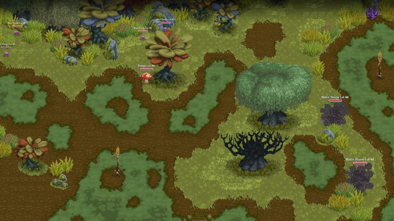 Naïca thumbnail 5
