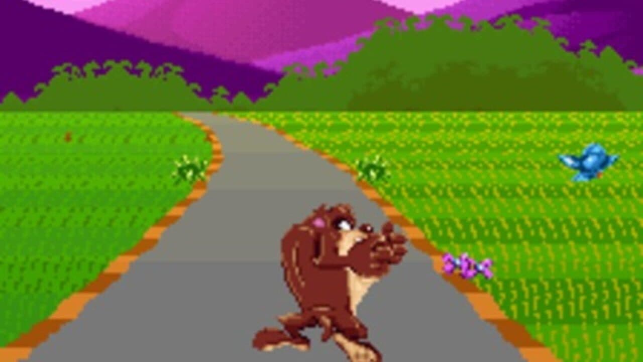 Taz-Mania thumbnail 3