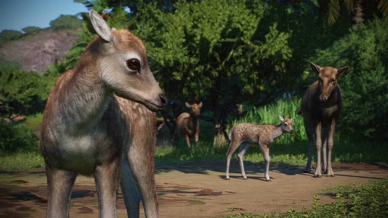 Planet Zoo: Asia Animal Pack thumbnail 3