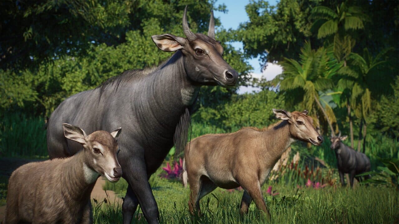 Planet Zoo: Asia Animal Pack thumbnail 7