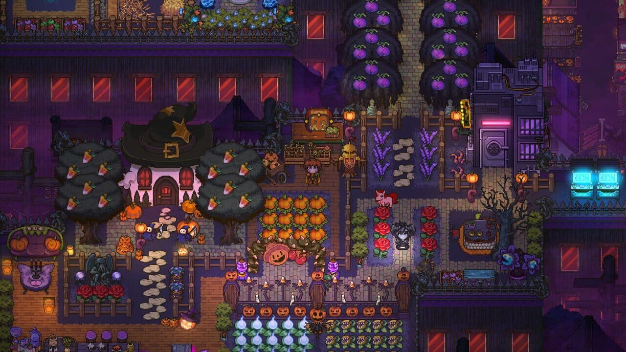 Sun Haven thumbnail 8