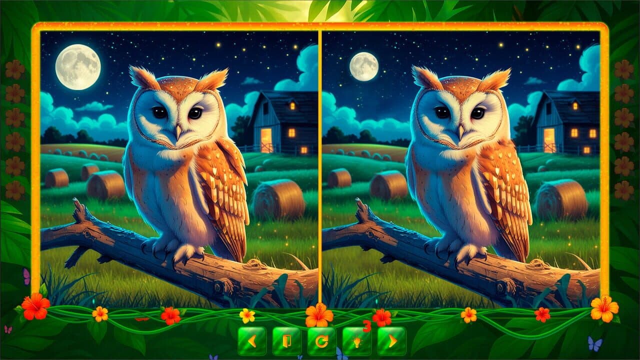 BirdQuest Find the Difference thumbnail 6