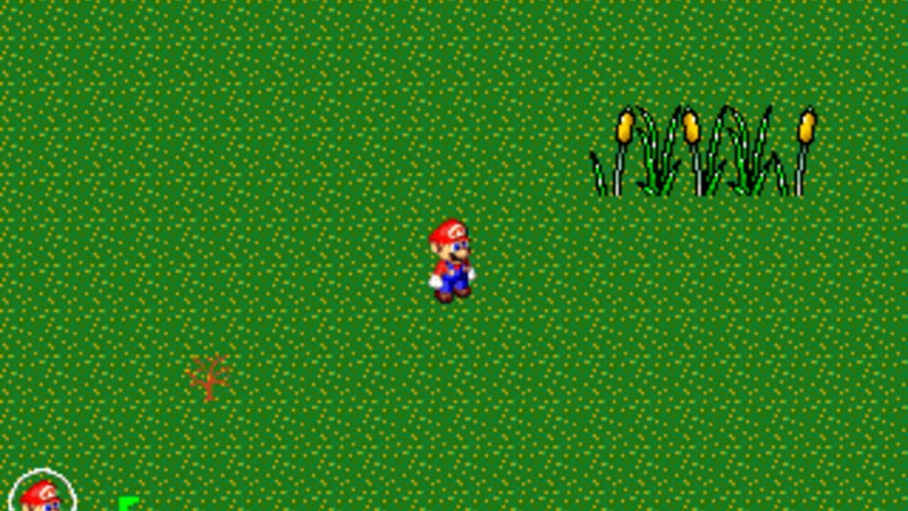 Mario for the Masses screenshot 1