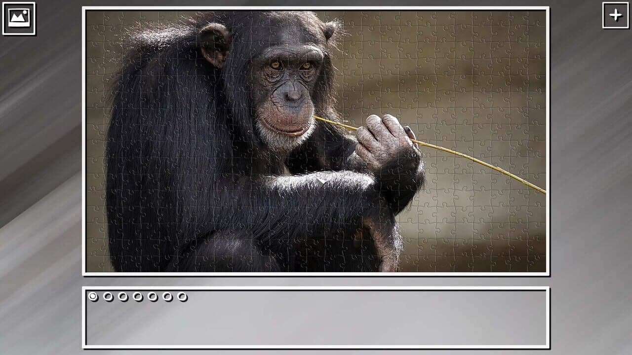 Super Jigsaw Puzzle: Generations - Monkeys & Apes Puzzles thumbnail 2