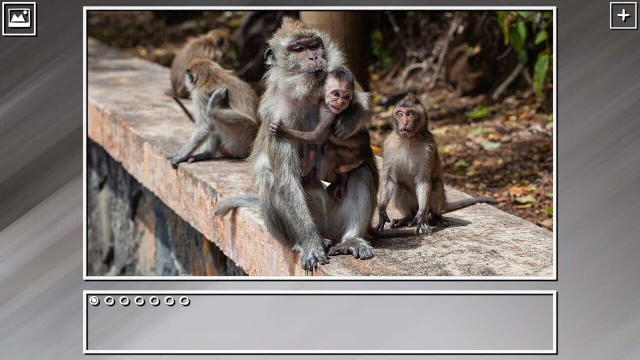 Super Jigsaw Puzzle: Generations - Monkeys & Apes Puzzles thumbnail 5