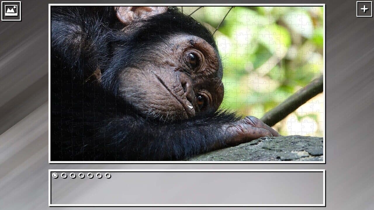 Super Jigsaw Puzzle: Generations - Monkeys & Apes Puzzles thumbnail 6