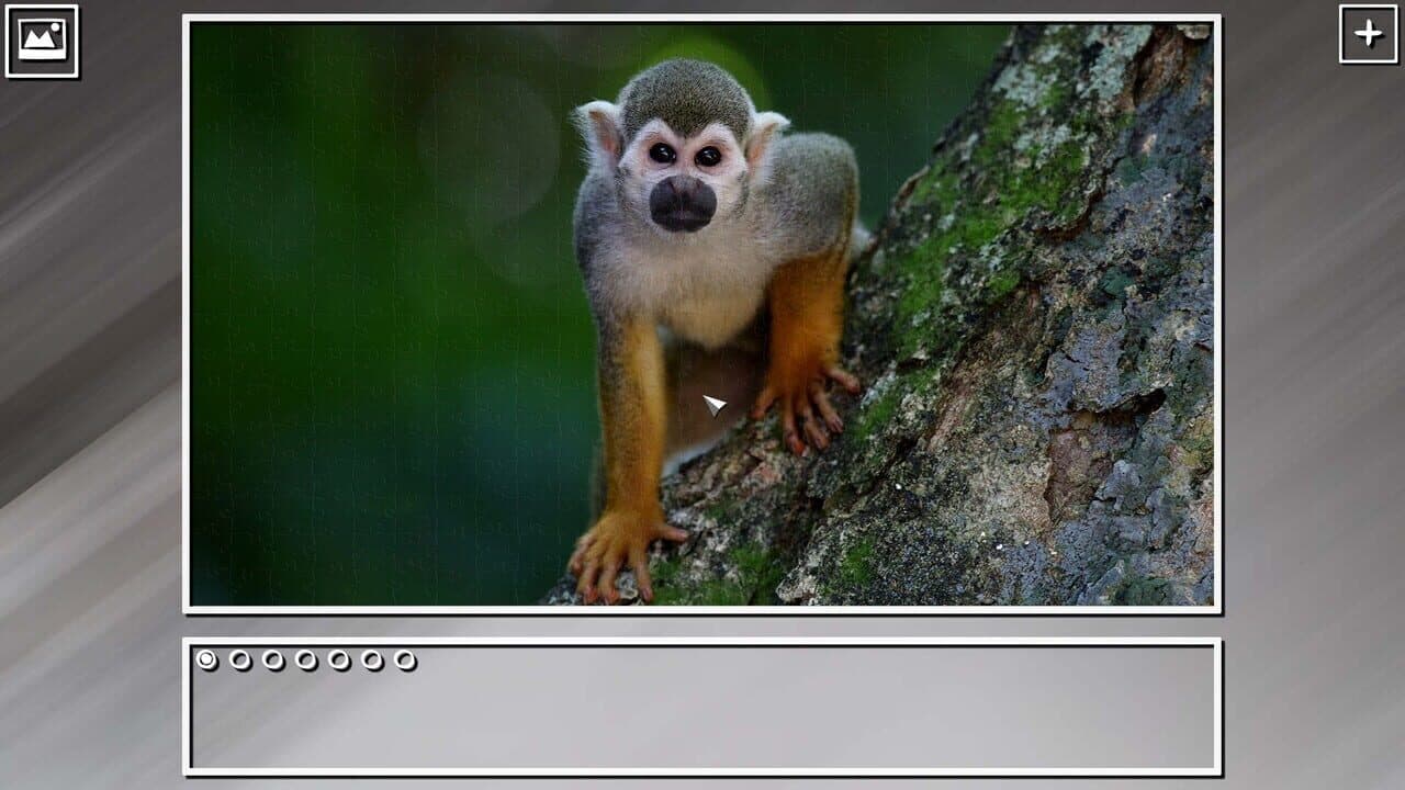 Super Jigsaw Puzzle: Generations - Monkeys & Apes Puzzles thumbnail 7
