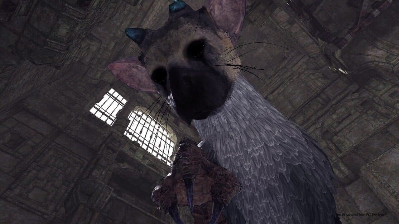 The Last Guardian VR thumbnail 2