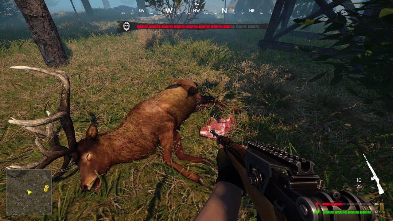 Bigfoot Hunting thumbnail 6