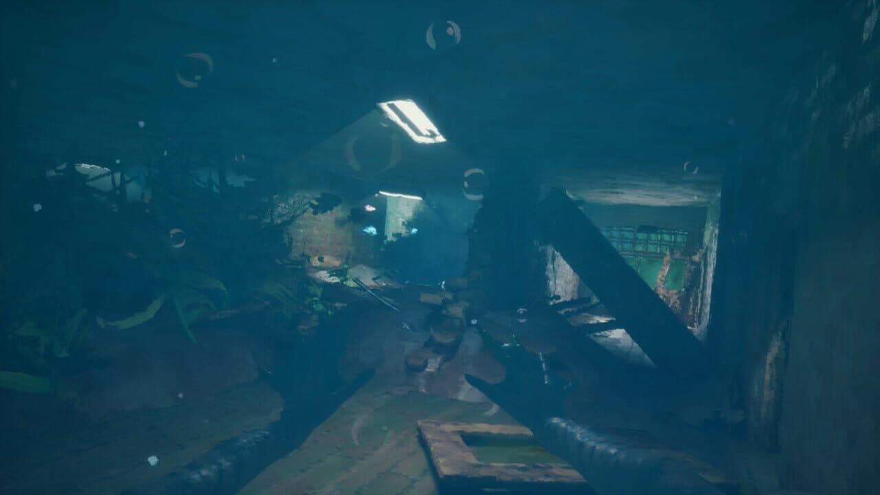 Voice of the Ocean thumbnail 8