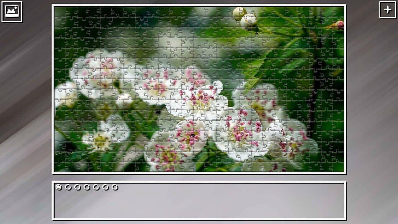 Super Jigsaw Puzzle: Generations - Flowers 2 thumbnail 13
