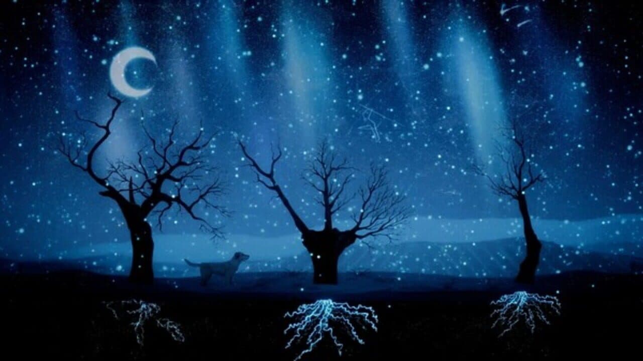 Treeplanter thumbnail 10