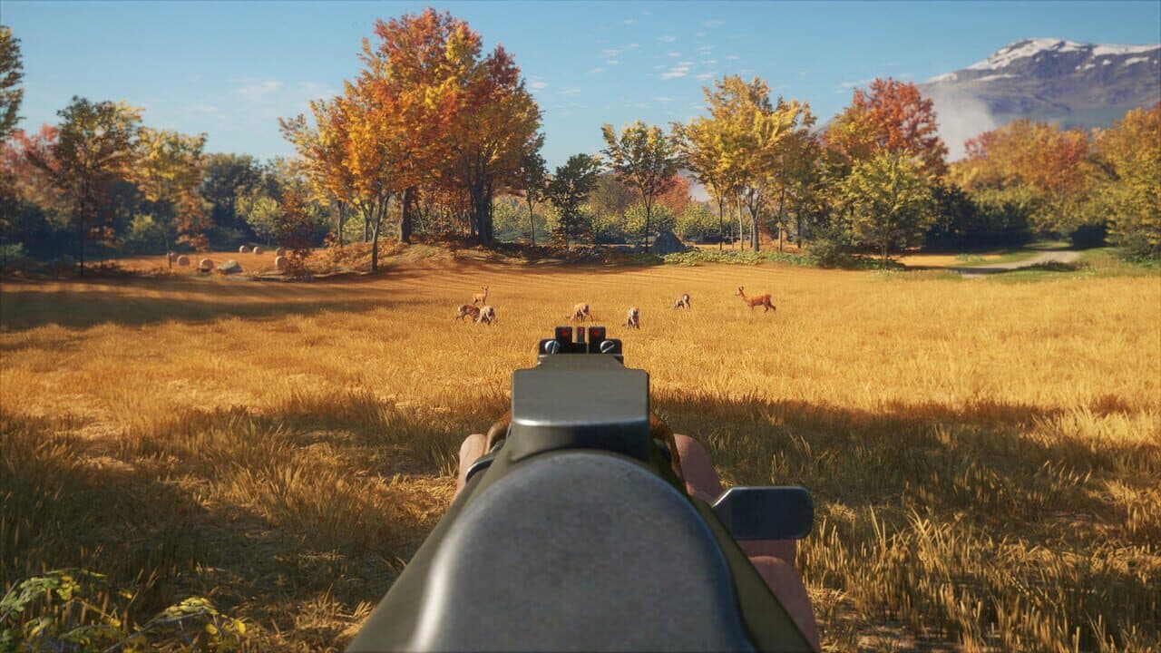 TheHunter: Call of the Wild - Rapid Hunt Rifle Pack thumbnail 2