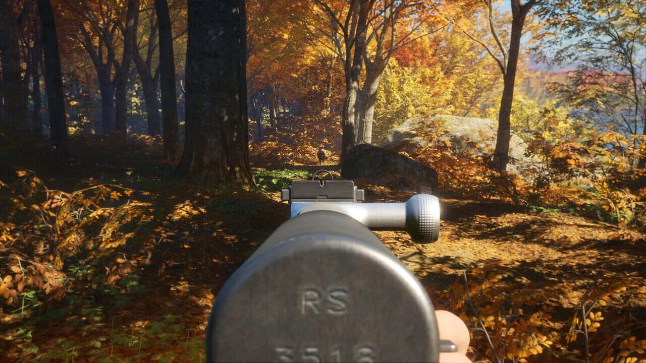 TheHunter: Call of the Wild - Rapid Hunt Rifle Pack thumbnail 7