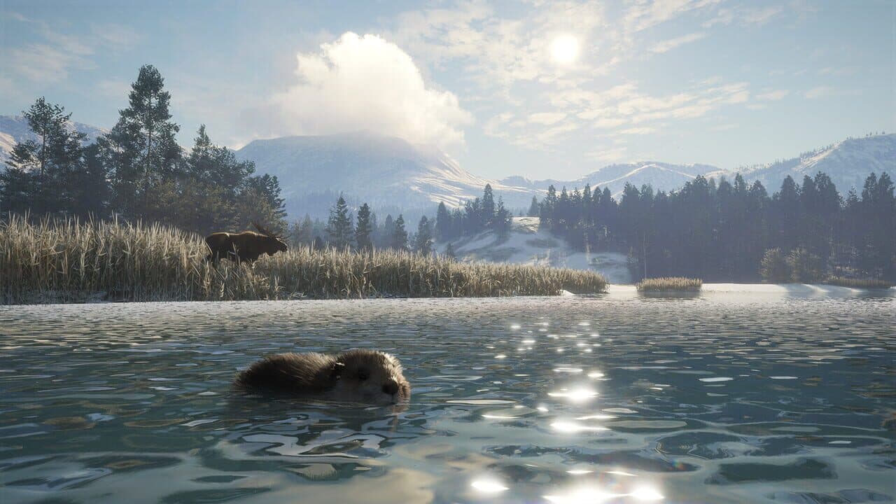 TheHunter: Call of the Wild - Alberta Hunting Preserve thumbnail 4