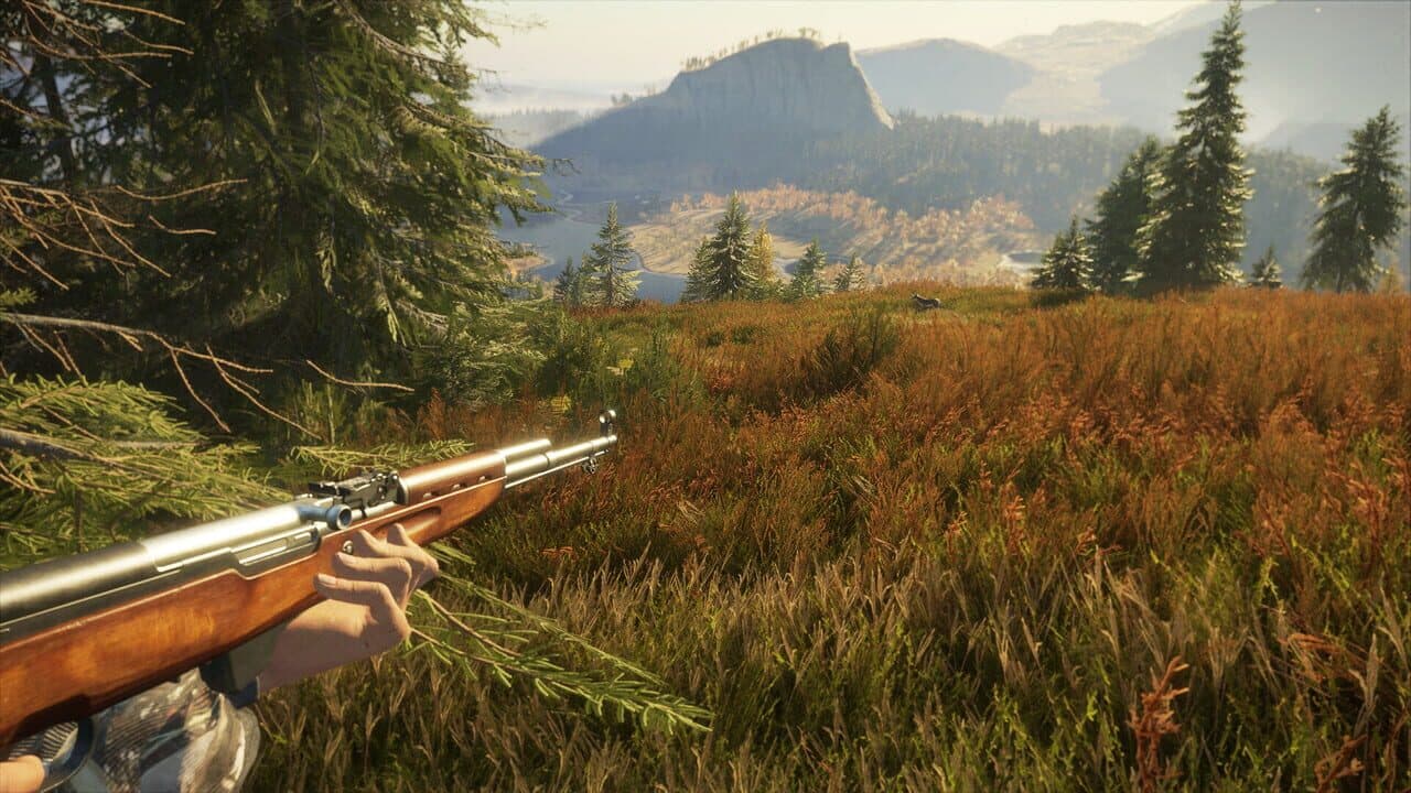 TheHunter: Call of the Wild - Rapid Hunt Rifle Pack thumbnail 10