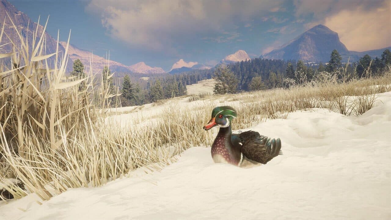 TheHunter: Call of the Wild - Alberta Hunting Preserve thumbnail 7