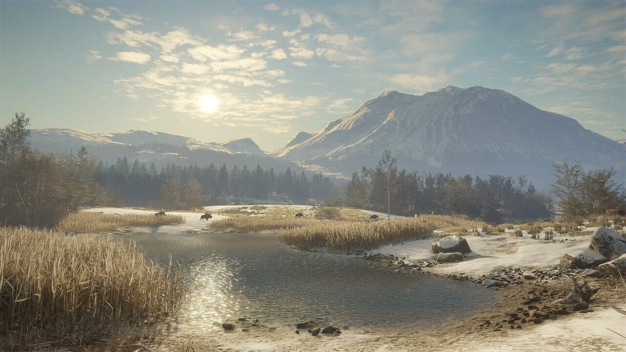 TheHunter: Call of the Wild - Alberta Hunting Preserve thumbnail 5