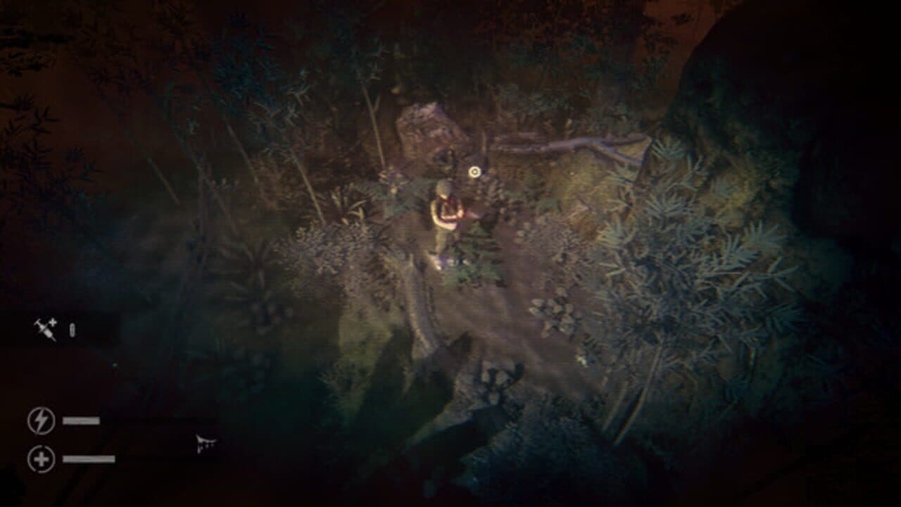 The Silent Jungle thumbnail 3