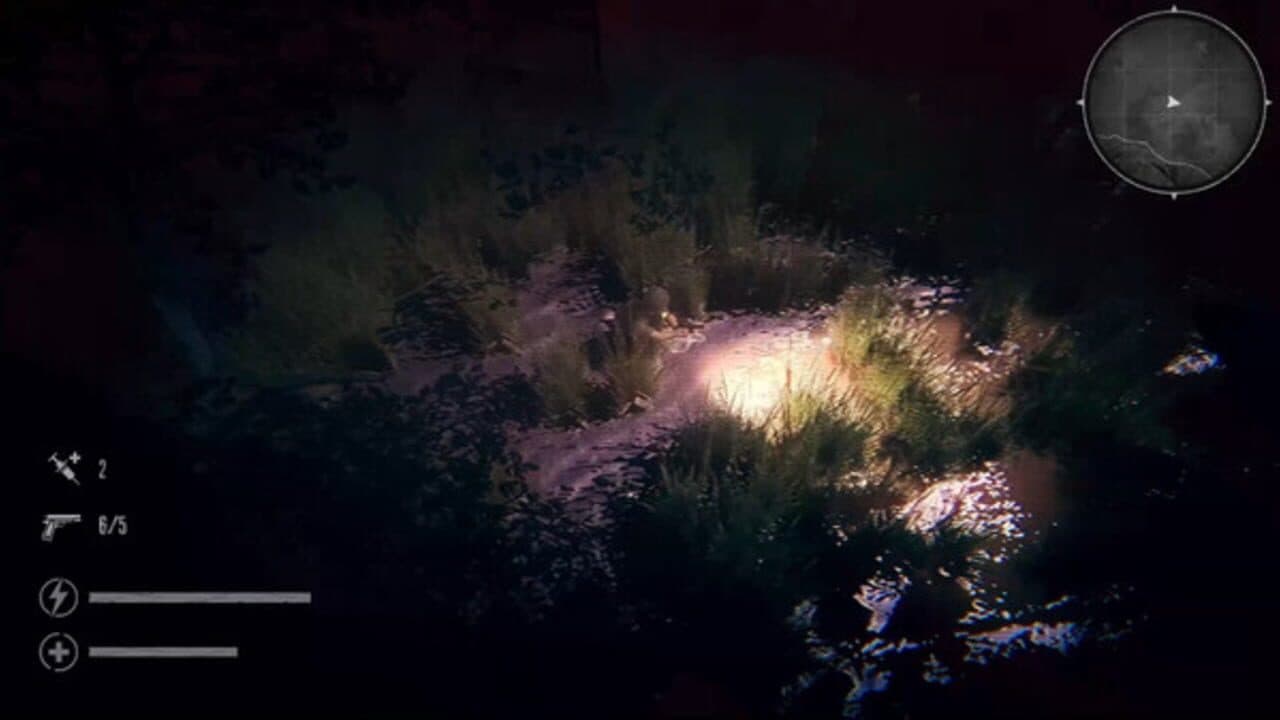 The Silent Jungle thumbnail 7