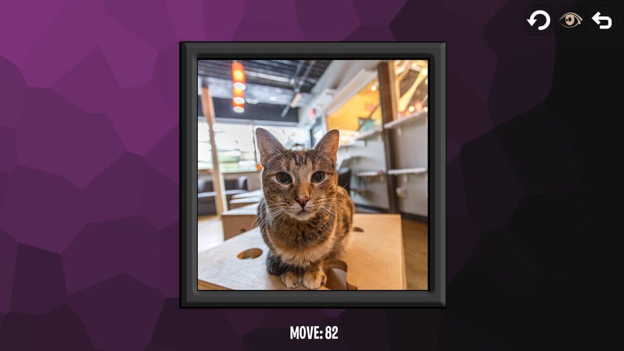 Intelligence: Cats thumbnail 3