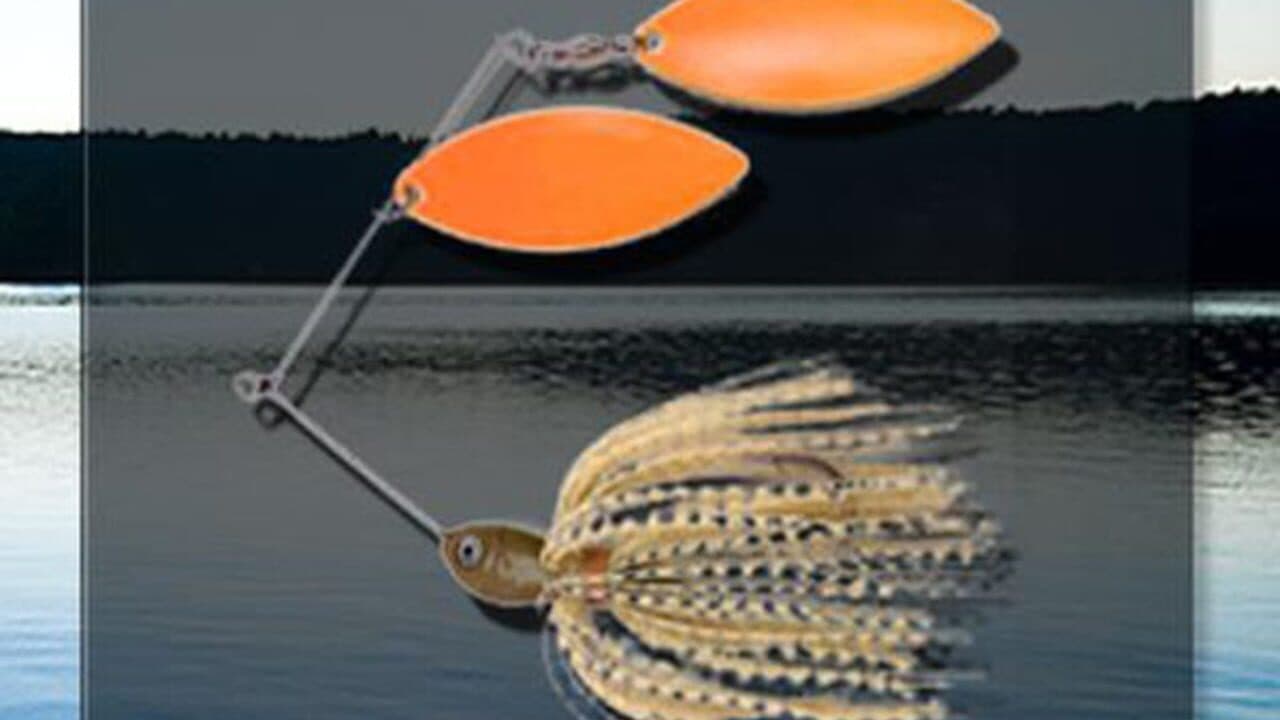 iFishing thumbnail 4