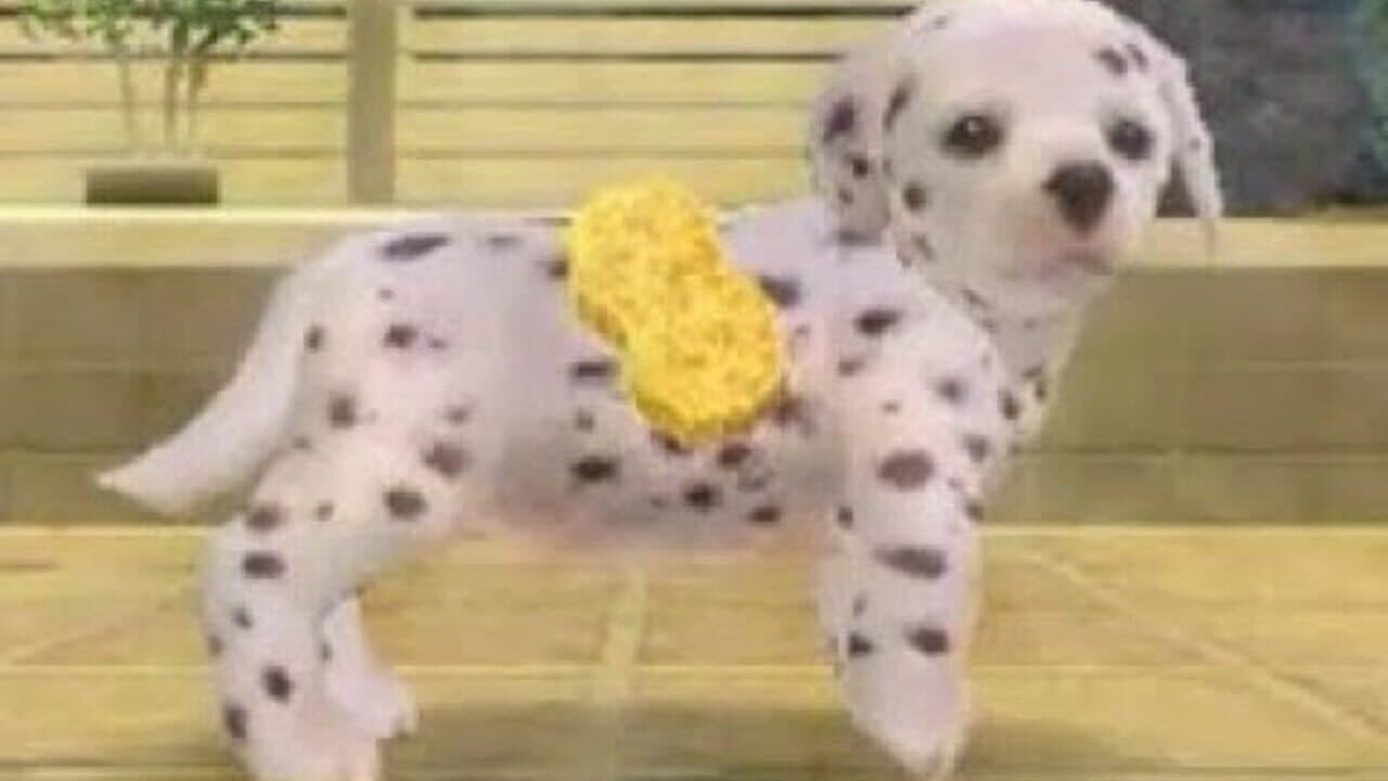 Nintendogs: Dalmatian & Friends thumbnail 5