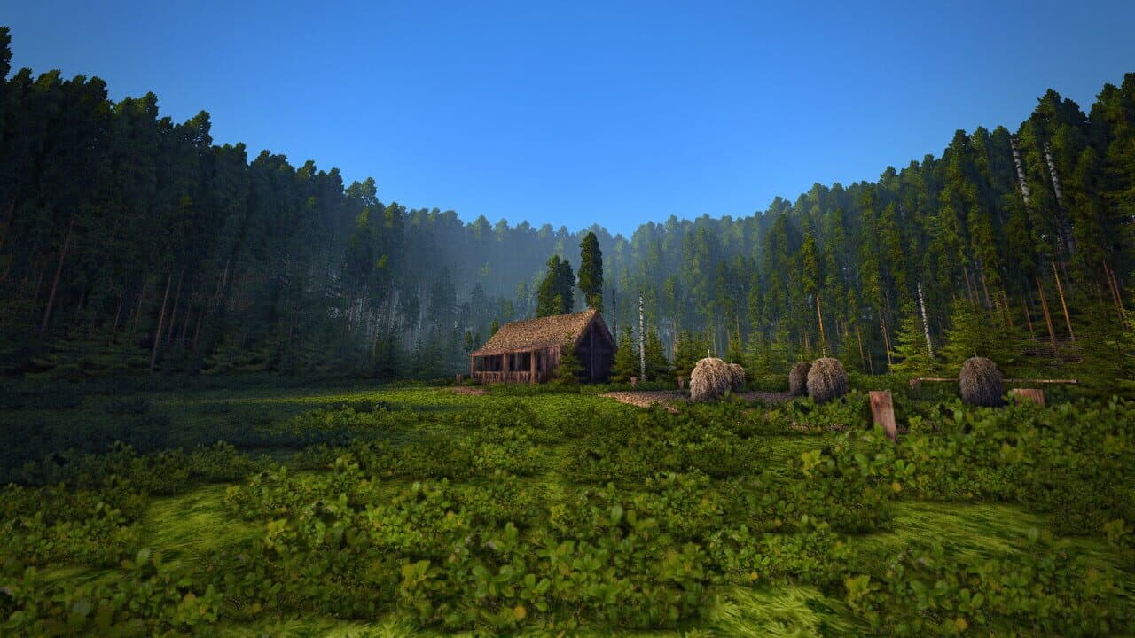 Voima thumbnail 5
